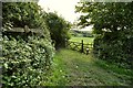 A junction where Down lane leads to Saunton and Cott Lane to Croyde