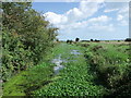 Hurst Haven at New Bridge, Pevensey Levels