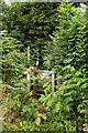 Kissing gate on the footpath