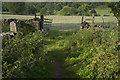 Footpath to Litton