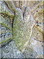 Lichened hand on gravestone