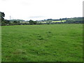 Pasture near Beanhill Farm