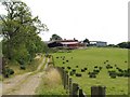 Farm road to Drumskelly Farm