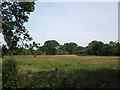 Farmland near Padworth Common