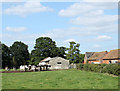 2010 : Cattle at West Park Farm near Lavington Sands