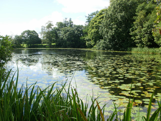 Holehird Tarn © Peter cc-by-sa/2.0 :: Geograph Britain and Ireland