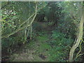 Footpath towards Bridge Farm