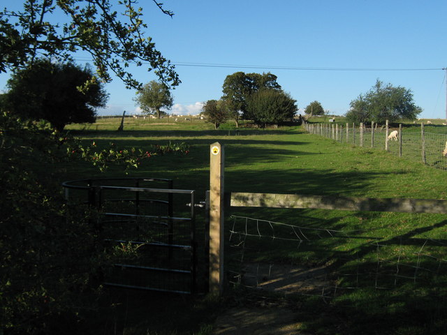 Kissing Gate near Warehorne