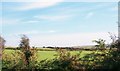 Undulating farmland south of Bryn Llywelyn