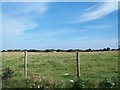 Grazing land south of the B4413 east of Mynytho