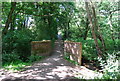 Footbridge across the River Wey