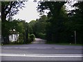 Footpath through Burton Park