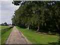 Footpath by Bushy Pieces