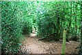 Footpath south on Marley Common