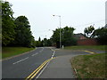 Curious road feature in Coach House Place