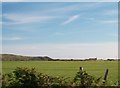 Harvested meadow near Ty