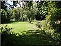 Footpath through a garden