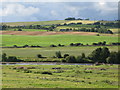 NY7663 : The valley of the River South Tyne north of Haughstrother Wood by Mike Quinn