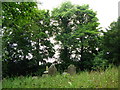 NY8465 : Haydon Old Church - graveyard by Mike Quinn