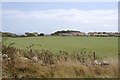 Across the field to Southwell