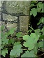 Benchmark on wall beside path from Alexandra Road