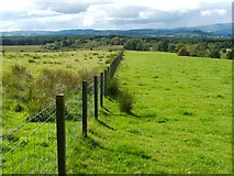 NS4884 : Fence near Aucheneck trig point by Lairich Rig