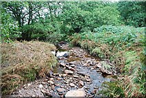 NR8478 : River in Gleann dà Leirg by Patrick Mackie