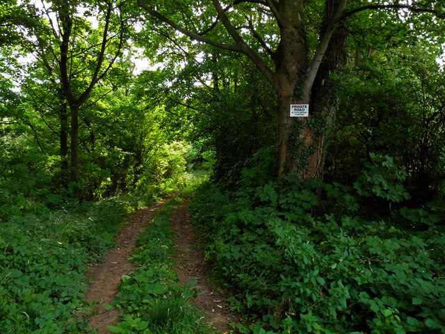 Private road through Rudby Wood