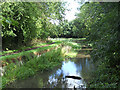 Disused canal near Leasowes Park