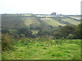 Trevaylor Stream valley