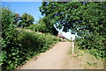 Footpath off the Downs Link