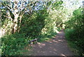 Seat on the Downs Link, Cranleigh Common