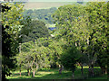 Woodland near Pardlestone