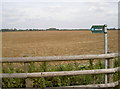 SU3694 : Bridleway beside the harvested fields by Neil Owen