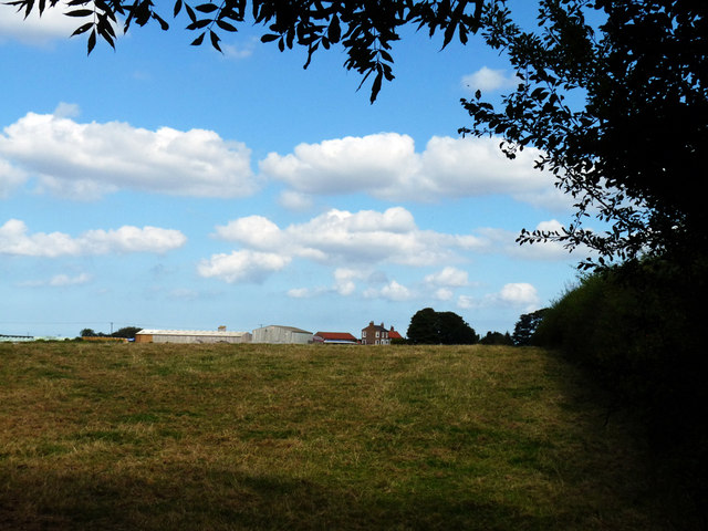 Looking across fields towards Maltby Grange