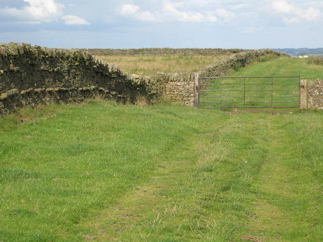 Track between Lough Green and West Deanraw