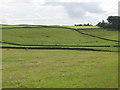 Pastures south of Sillywrea