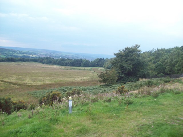 Wharncliffe Moor