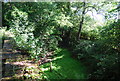 The Wey Arun Canal