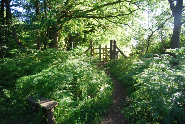 Kissing gate by the Downs Link