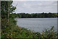 Chipstead Lake