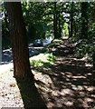 Habberley Road and footpath