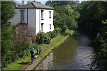 SJ6486 : Bridgewater Canal, Grappenhall by Stephen McKay