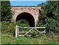 Severn Valley Railway Bridge