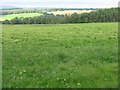 Struthill Wood and the Machany Water valley