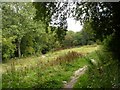 Path between the railway and Anston Brook