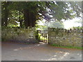 Footpath through the churchyard