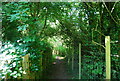 Footpath to Leybourne Lake