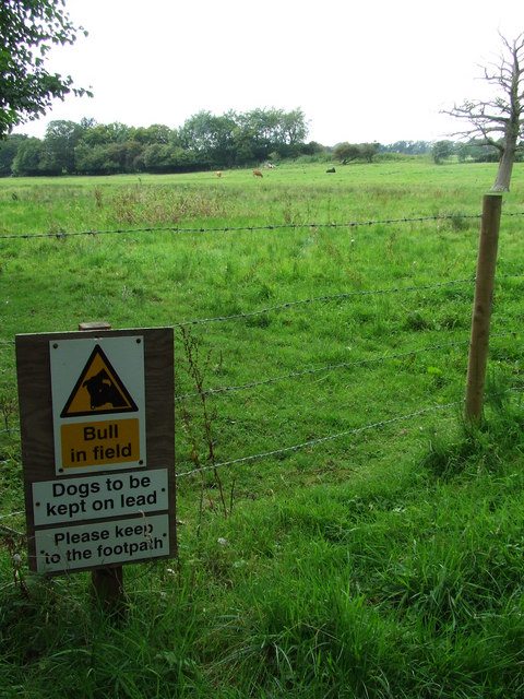 Bull In Field Sign © Keith Evans :: Geograph Britain and Ireland