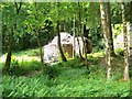 Old building in the woods in the castle grounds